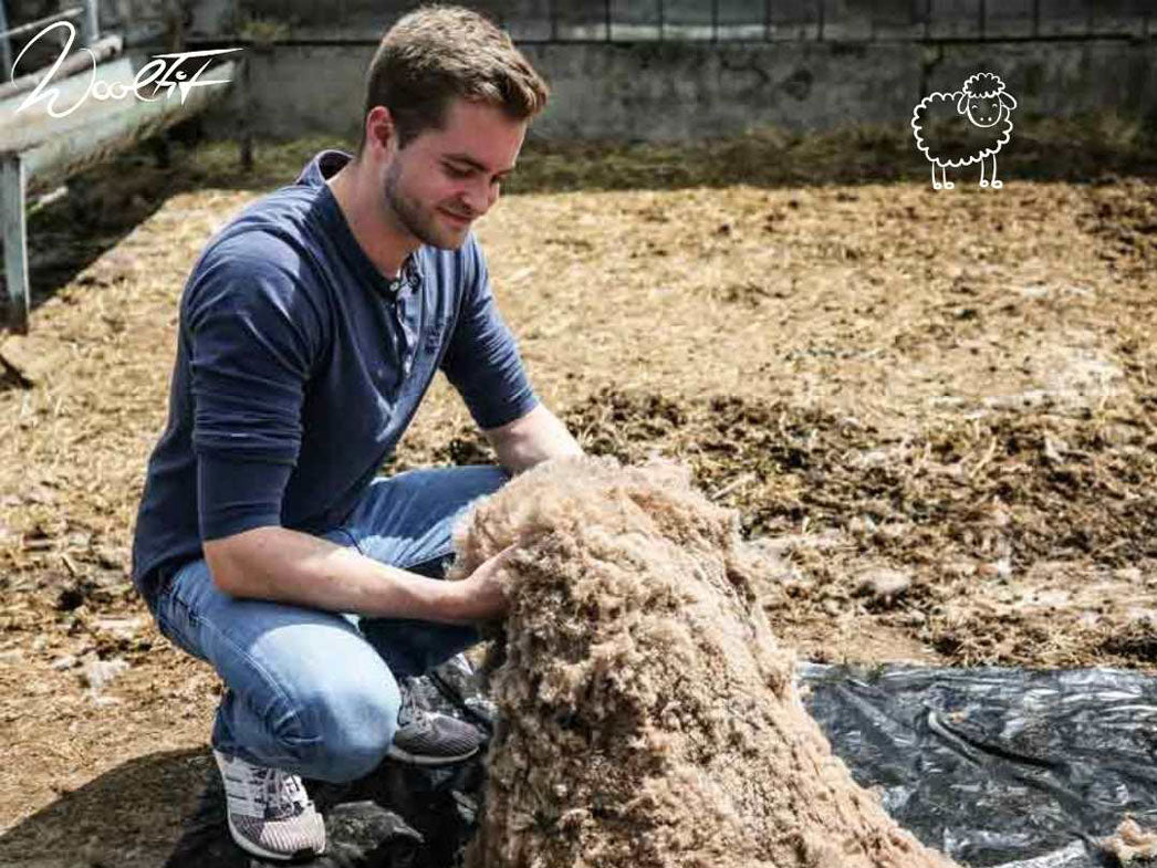 hinten 3mm-filz-einlegesohlen-dunkelgrau #farbe_dunkelgrau