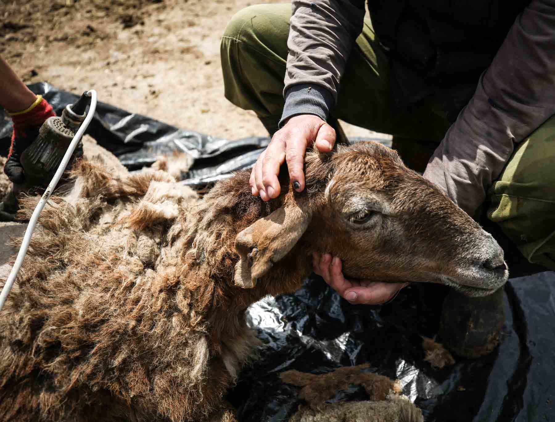 7 5mm-filz-einlegesohlen-blau #farbe_blau