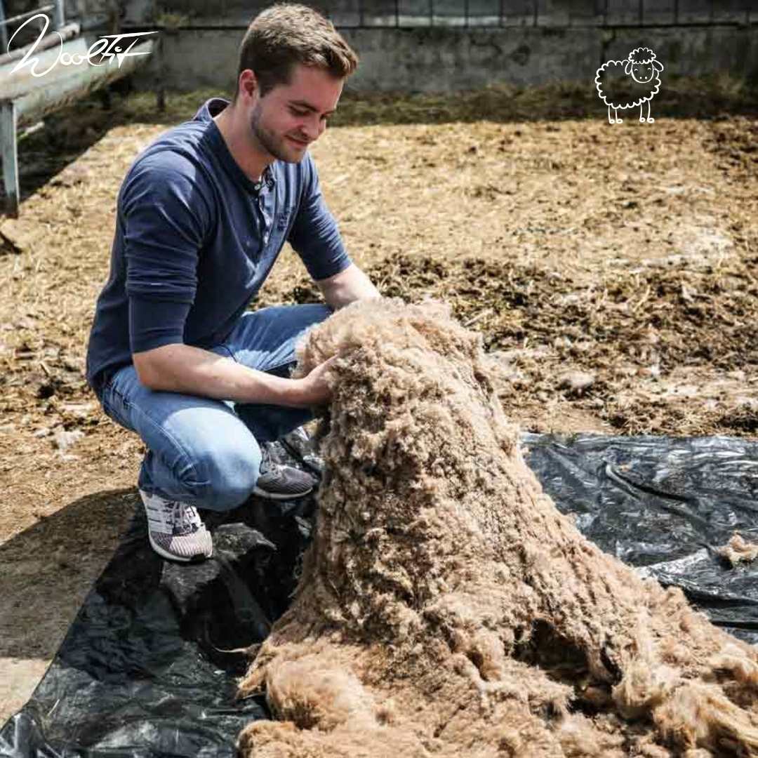 3 classic-zweifarbige-filz-einlegesohlen-graphit_hellgrau #farbe_graphit_hellgrau