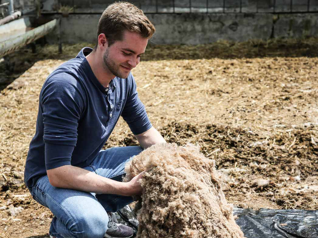 3 classic-zweifarbige-filz-einlegesohlen-steingrau #farbe_steingrau